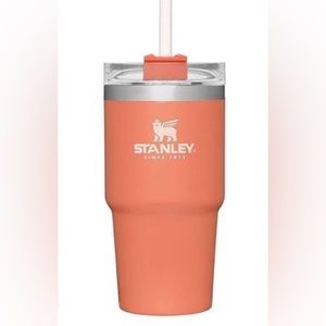 stanley 20 oz quencher tumbler- grapefruit